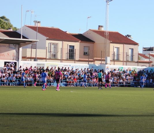 A la espera de una subvención para cambiar el césped del San Sebastián