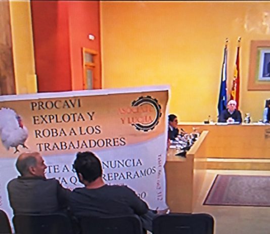 Miembros de la plataforma de afectados por Procavi, presentes en el último pleno