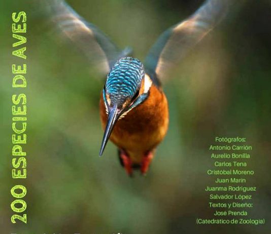 Una exposición fotográfica que muestra la biodiversidad de Los Alcores