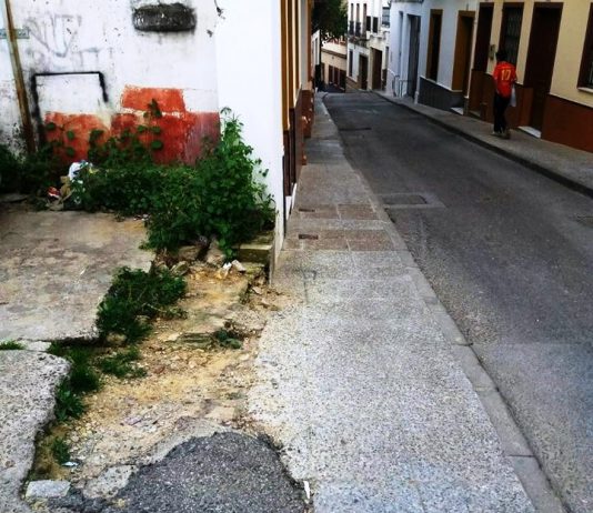 El PSOE propone al ayuntamiento un plan de mantenimiento «necesario en el vecindario»