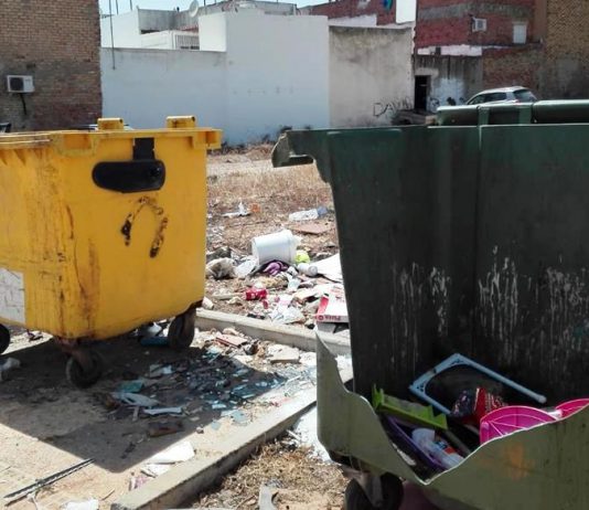 El PSOE vuelve a denunciar el estado “lamentable” de la zona de contenedores de la calle 28 de Febrero