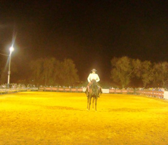 La Fiesta del Caballo de la hermandad de Jesús incluye por vez primera una gymkhana ecuestre