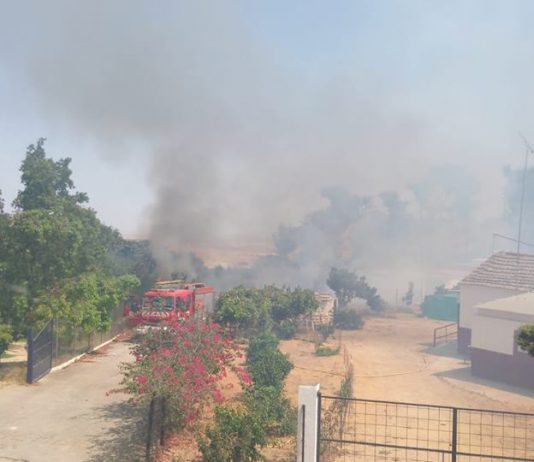 Incendio en el Parque de La Muela: Los Bomberos consiguen controlar el fuego