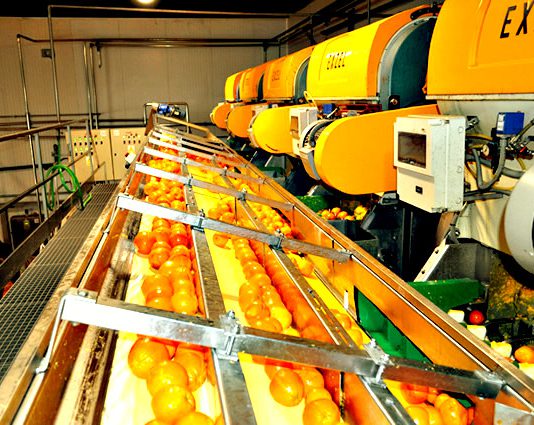Antonio Martín, propietario del grupo agrícola Algosur, compra Canla