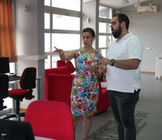 Informática, ofimática, imagen digital y creación de bases de datos en Guadalinfo