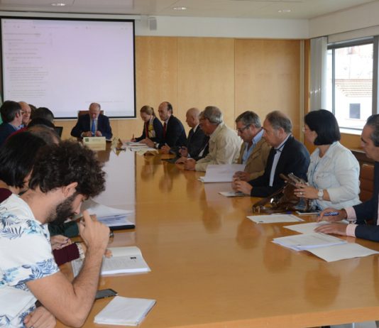 El Ayuntamiento de El Viso amplía sus competencias delegadas en el Opaef