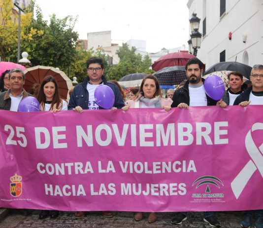 25N: Así se vivió el Día Contra la Violencia de Género en El Viso del Alcor