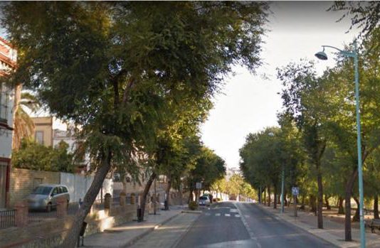 Solano organiza una jornada de limpieza comunitaria en el Mirador de La Muela