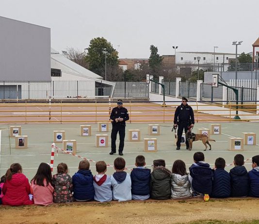 La Policía Local imparte cursos de educación vial en los colegios de El Viso