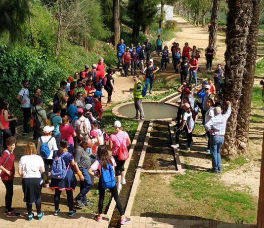 Unas 500 personas participan en la nueva edición de la Ruta de los Alcores