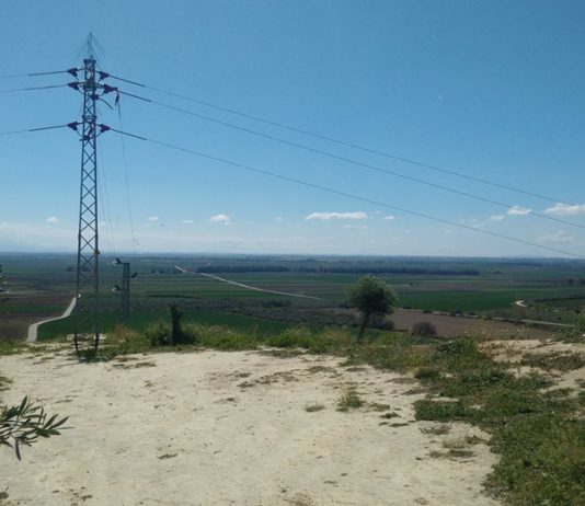 Solano celebra la colocación de protectores en un tendido eléctrico de Mairena «que evitará nuevas muertes»