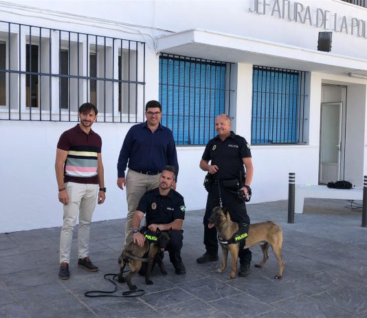 El alcalde visita el taller de educación vial que la policía imparte en los colegios de El Viso
