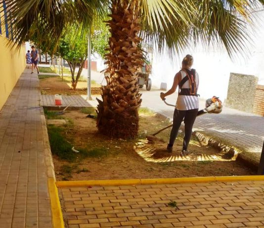 El Ayuntamiento adecenta las zonas verdes