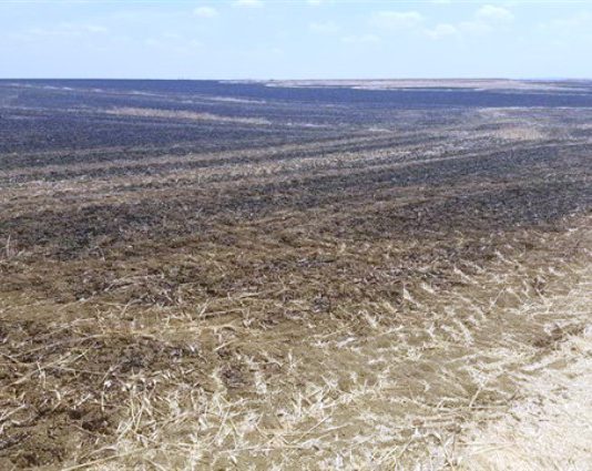 Investigado un vecino de El Viso como presunto autor de varios incendios provocados