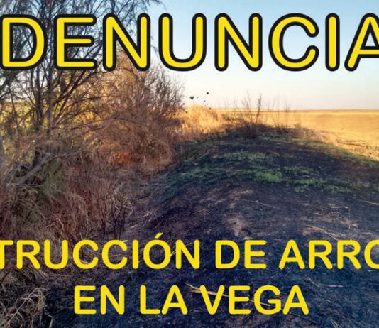 Solano denuncia la quema y destrucción de arroyos en La Vega