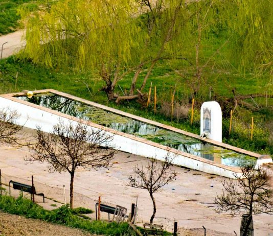 El Ayuntamiento interviene el Pilar del Moscoso a través del Plan de Limpieza
