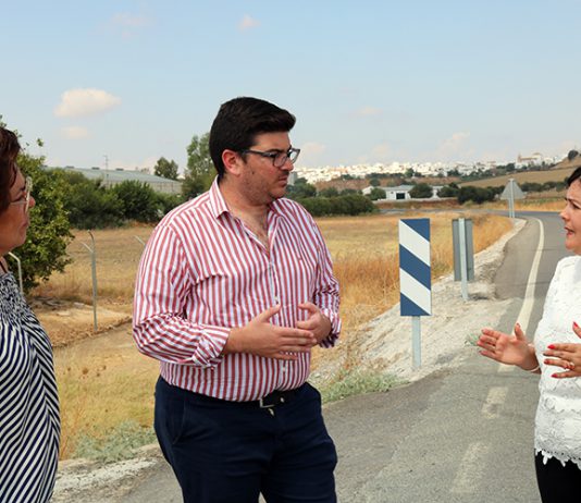 El Ayuntamiento vuelve a pedir el arreglo de varias vías, entre ellas la carretera de la Vega