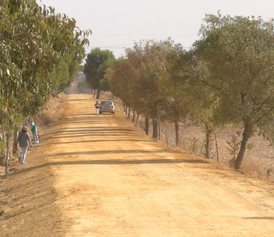 El ayuntamiento acomete obras de adecentamiento en la vía verde