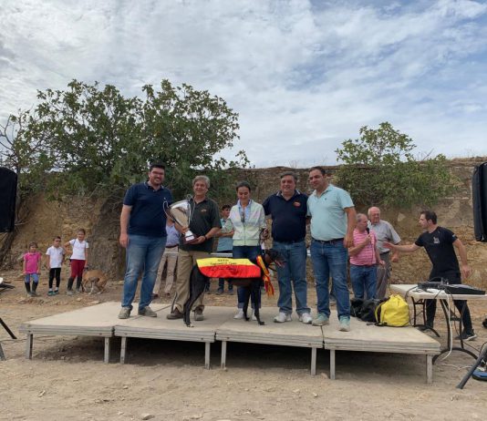 Éxito de participación en el Campeonato de España de galgos celebrado en El Viso
