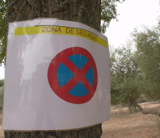 El Ayuntamiento habilita por primera vez una zona de seguridad en la romería