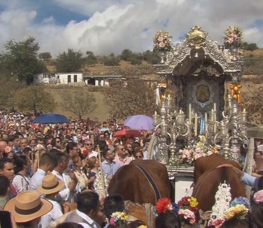 Multitudinaria romería en honor a Santa María del Alcor Coronada