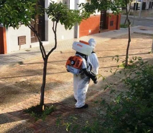 El Viso ya está en una tasa por encima de los 700 casos