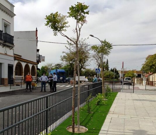 El Ayuntamiento anuncia la segunda parte de las obras en calle Cañalizo