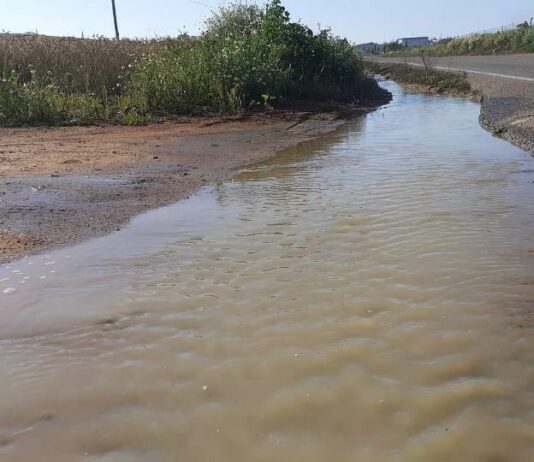 Solano denuncia que Paviso “vuelve a realizar vertidos de aguas residuales”