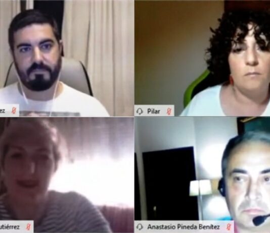 IU sobre el pleno telemático: “En la forma y en el fondo no ha variado mucho”