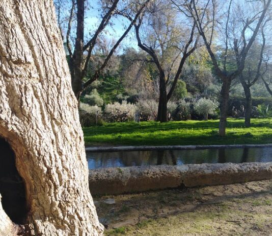 Fuente del Sol organiza un primer concurso fotográfico sobre el Parque de la Muela