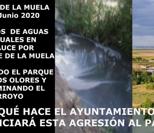 Solano vuelve a denunciar los vertidos a los arroyos del Parque de la Muela