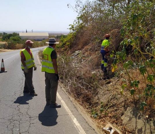 Tareas de limpieza por parte de Diputación en la carretera de La Vega