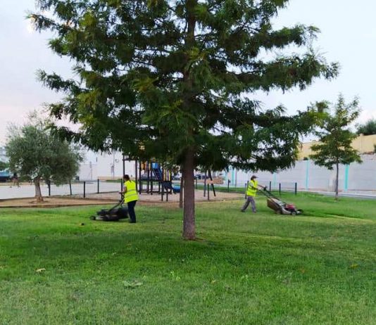 El Ayuntamiento continúa adecentando las zonas verdes de El Viso