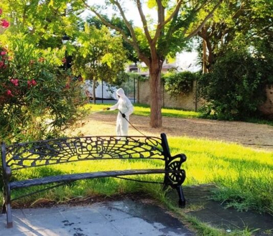 El Viso no presenta de momento casos por picadura del mosquito del virus del Nilo