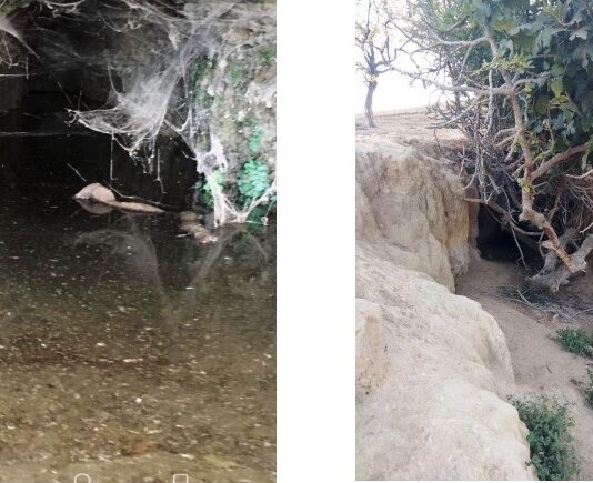 Encuentran en El Viso dos minas de agua en la falda sur del puerto de La Alunada