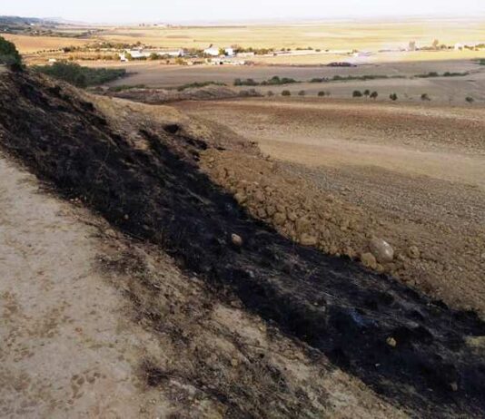 Fuente del Sol denuncia una nueva agresión al patrimonio, ahora en la Tablá