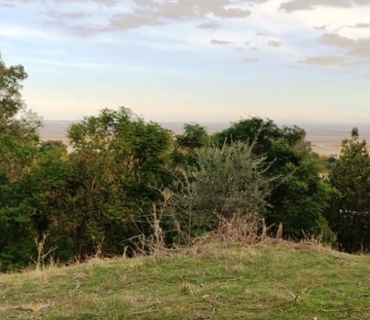 Solano lamenta que la zona de autocaravanas vaya a ubicarse “donde estaba proyectado hacer el Biotopo de Los Alcores”