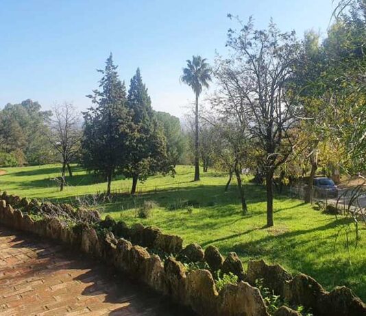 IU dice sí a la zona de autocaravanas pero no a que sea en el Parque de la Muela