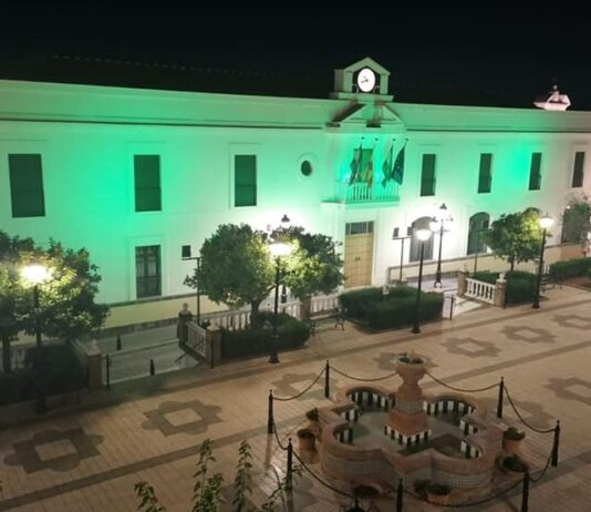 El Ayuntamiento se ilumina de verde para conmemorar el día mundial contra la ELA