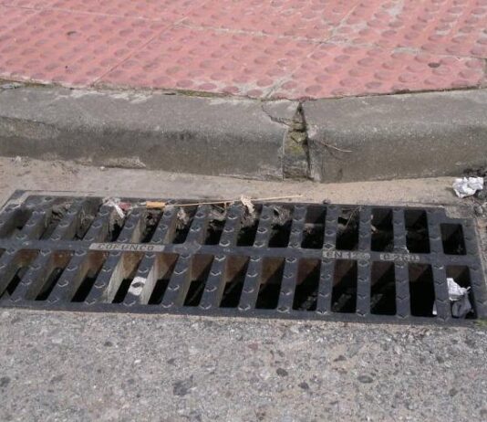 El Ayuntamiento llevará a cabo una desratización y desinsectación del alcantarillado
