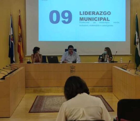 Agenda Urbana Local, un diseño conjunto sobre El Viso del futuro