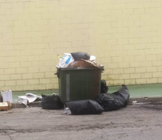 IU denuncia la escasez de contenedores en el polígono