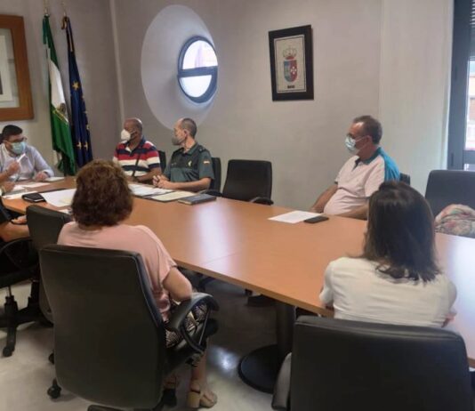 El Simpecado de Santa María del Alcor peregrinará este domingo por distintas calles de El Viso