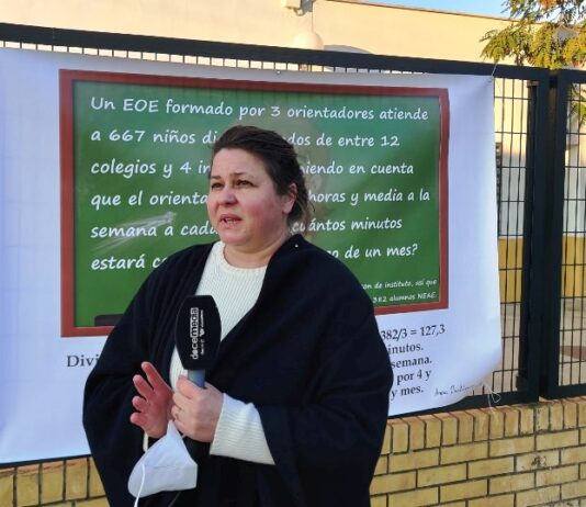 Las AMPAS no cesarán hasta que la Junta y la Delegación de Educación en Sevilla «solucionen este problema»