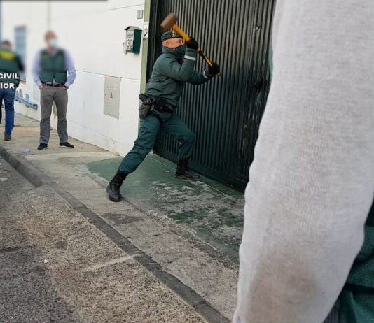 Desmantelada una red que comercializaba aceite de oliva virgen extra fraudulento en Carmona y El Viso