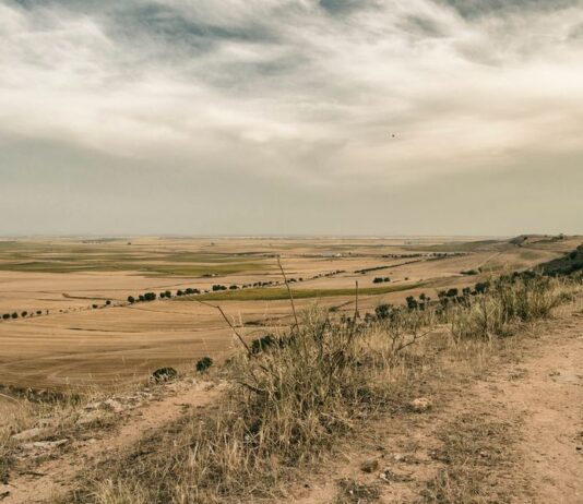 El Sendero Mágico Corazón de Los Alcores formará parte del circuito provincial de Diputación