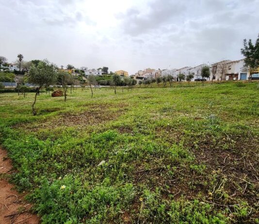 El Ayuntamiento contempla actuar en el Parque Norte