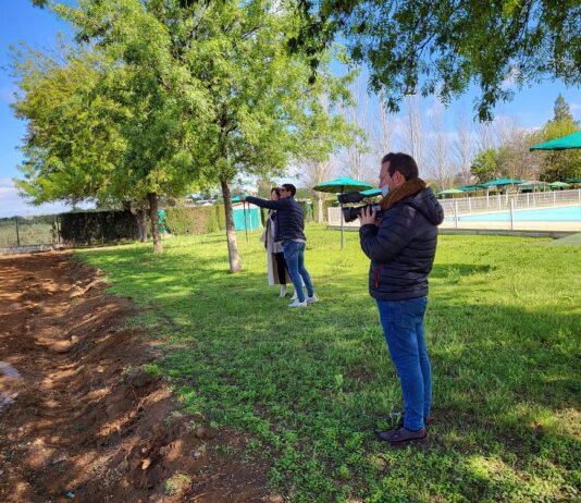 El Ayuntamiento ampliará las zonas verdes con la reforma de la piscina infantil