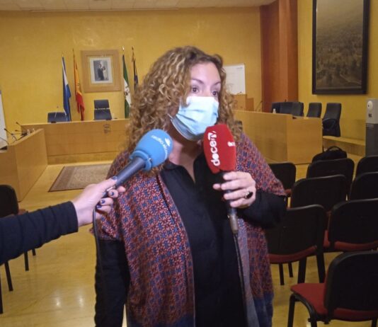 Para IU, el pleno de este jueves “no termina todo lo bien que podría”