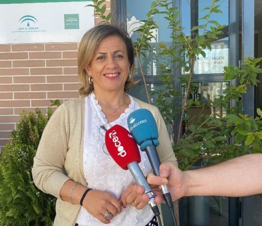 El lunes comienza el plazo para solicitar el cheque de alimentos